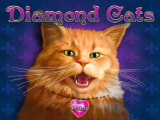 diamond cats