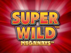super wild megaways
