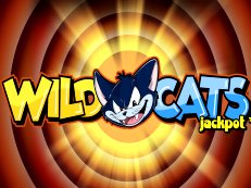 Wild Cats gokkast